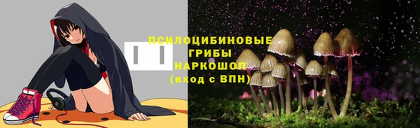 прущие грибы Алексеевка