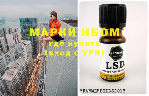 прущие грибы Алексеевка