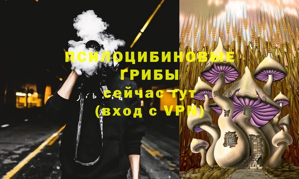 бутират Алзамай