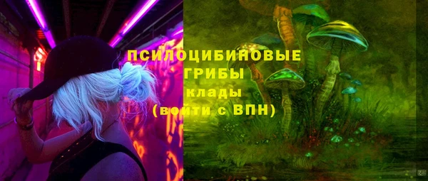 бутират Алзамай